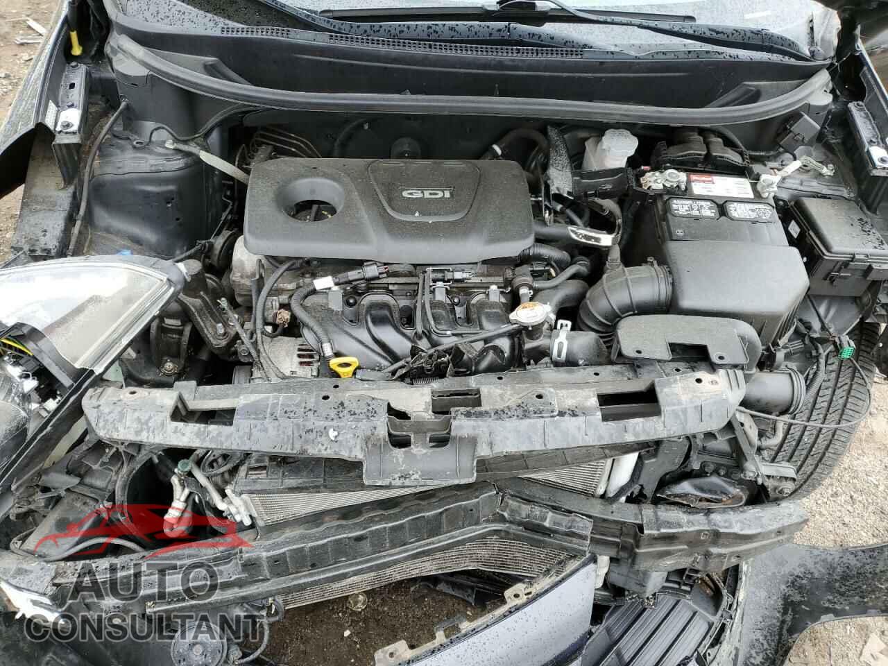 KIA RIO 2017 - KNADM4A36H6070498