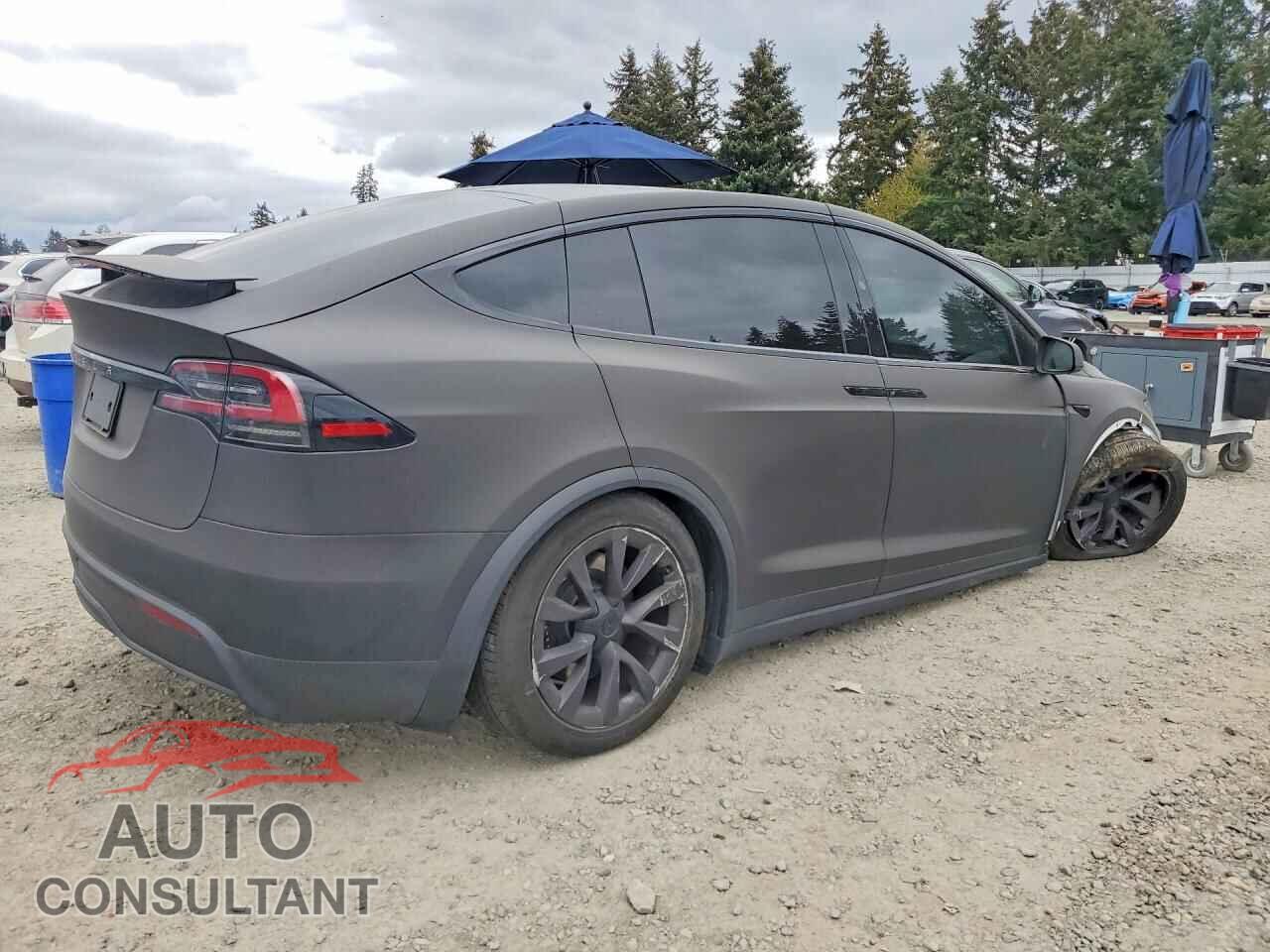 TESLA MODEL X 2025 - 7SAXCDE55SF469965