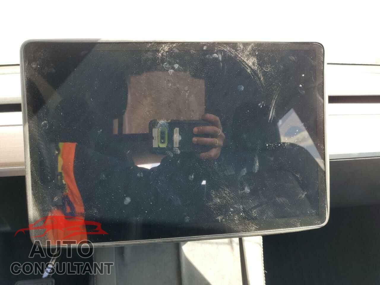 TESLA MODEL Y 2024 - 7SAYGDEE0RF202381