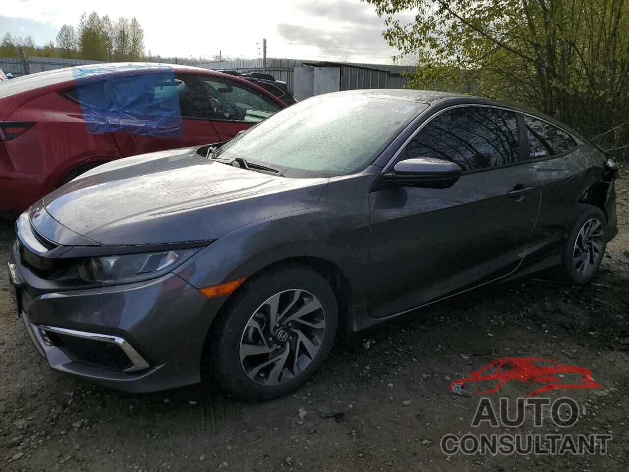 HONDA CIVIC 2019 - 2HGFC4B62KH305610