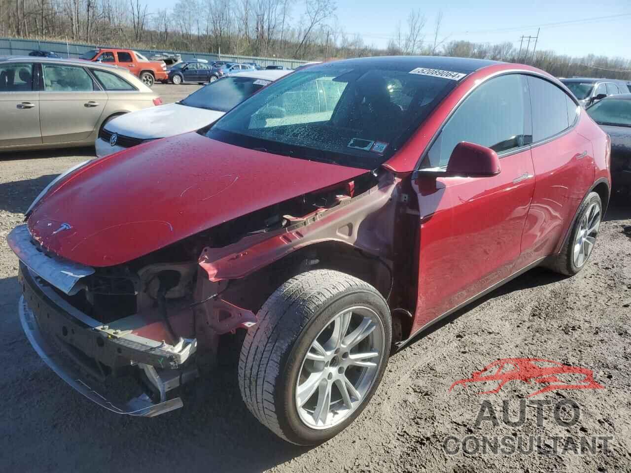 TESLA MODEL Y 2021 - 5YJYGDEE8MF244268