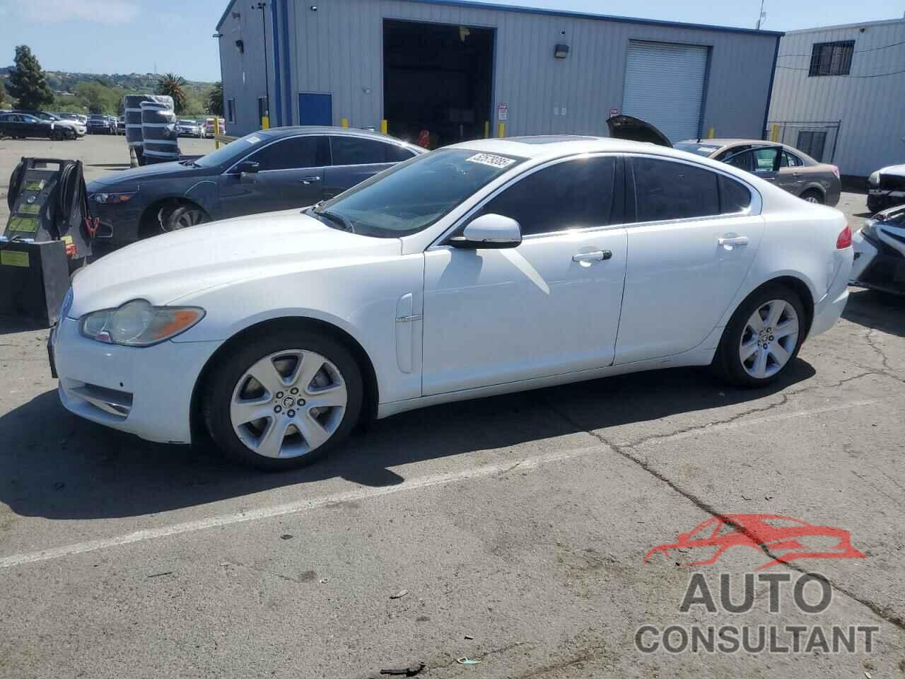 JAGUAR XF 2011 - SAJWA0FB6BLR86959