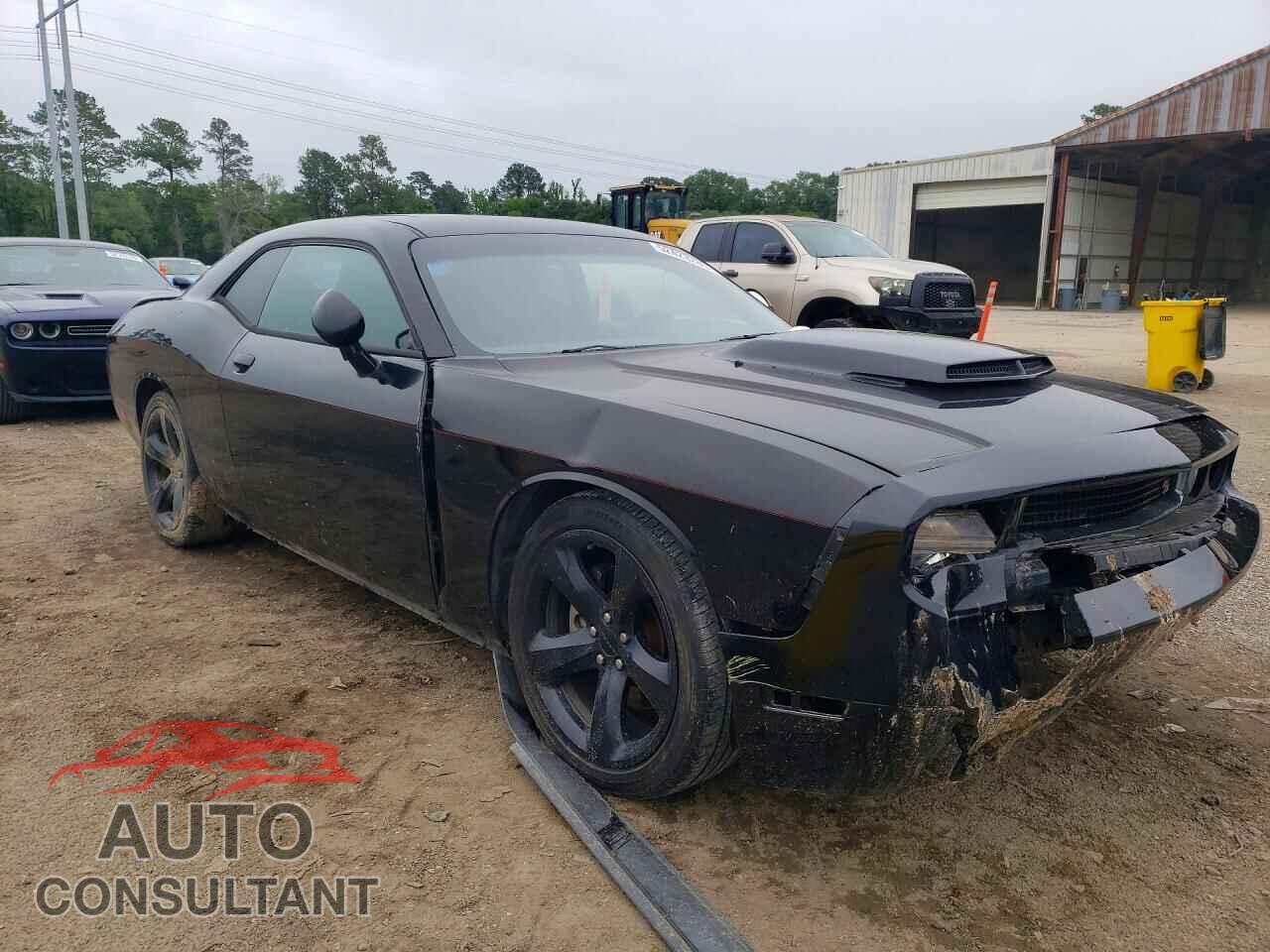 DODGE CHALLENGER 2013 - 2C3CDYBTXDH641430