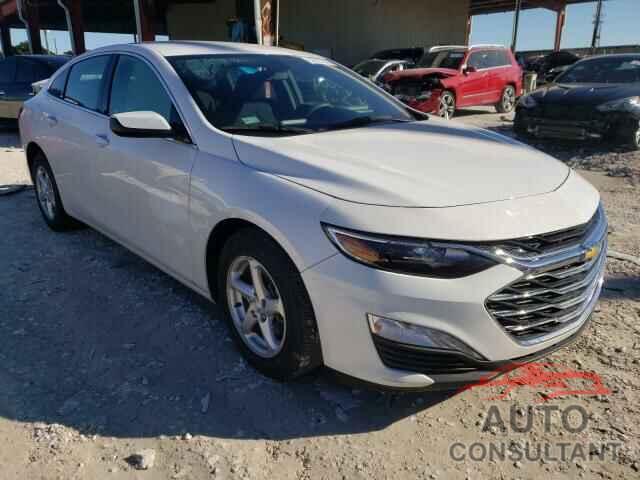 CHEVROLET MALIBU 2019 - 1G1ZD5ST7KF115137