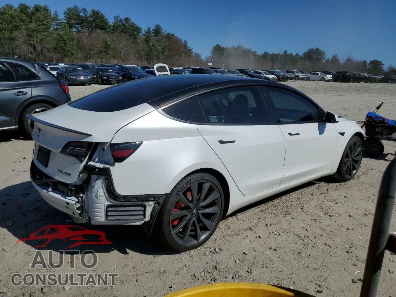 TESLA MODEL 3 2019 - 5YJ3E1EB0KF231791
