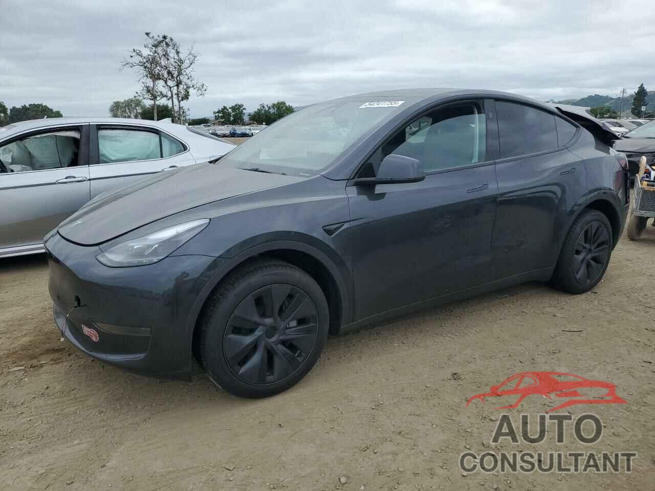 TESLA MODEL Y 2024 - 7SAYGDED1RF177417