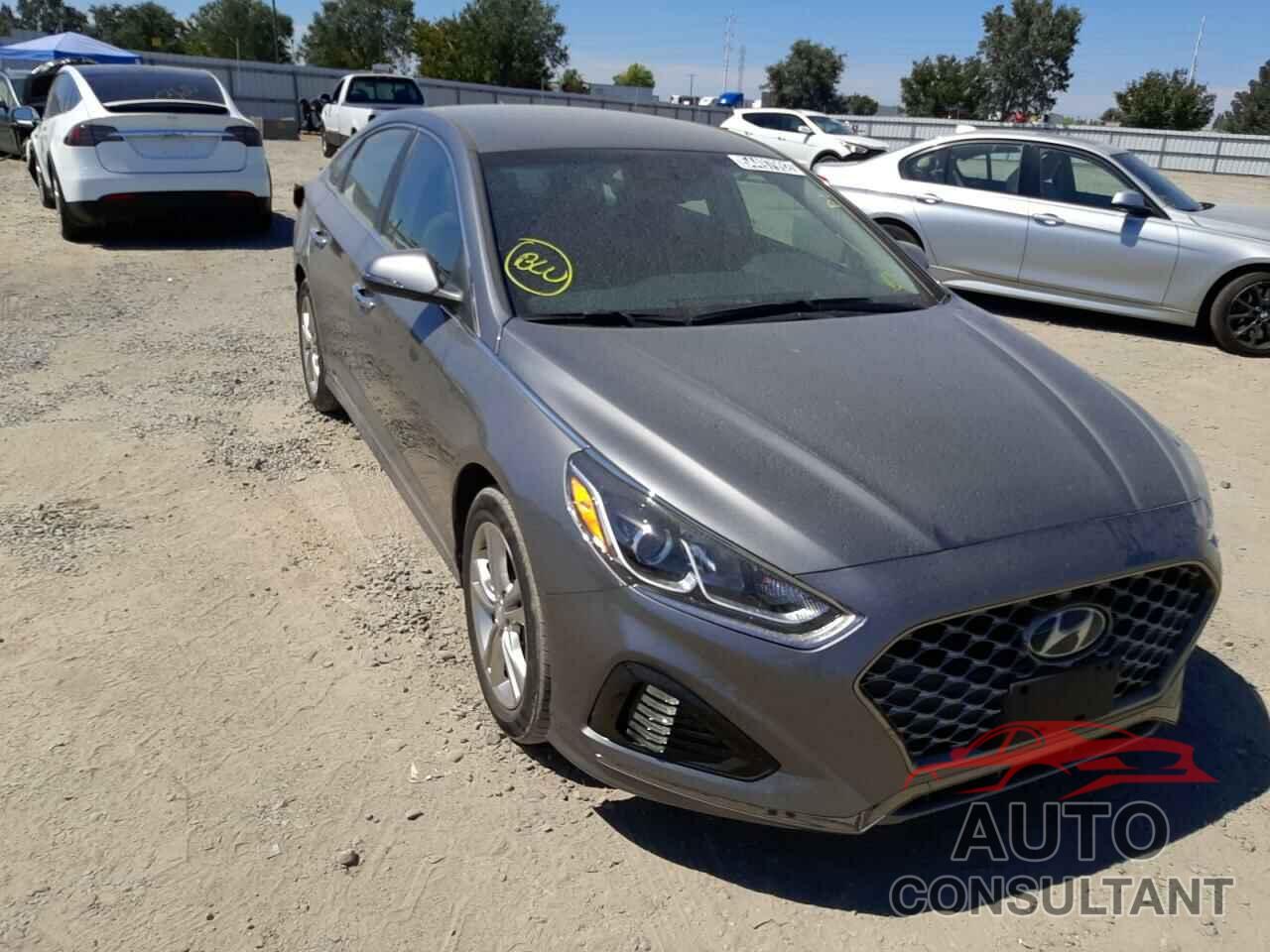 HYUNDAI SONATA 2019 - 5NPE34AFXKH780604
