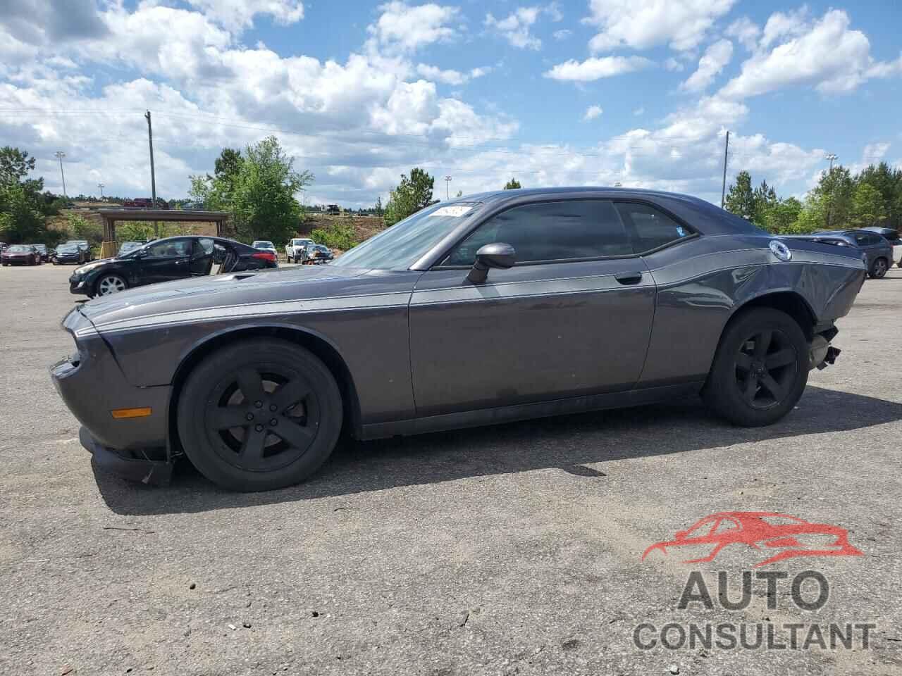 DODGE CHALLENGER 2013 - 2C3CDYAG3DH601047