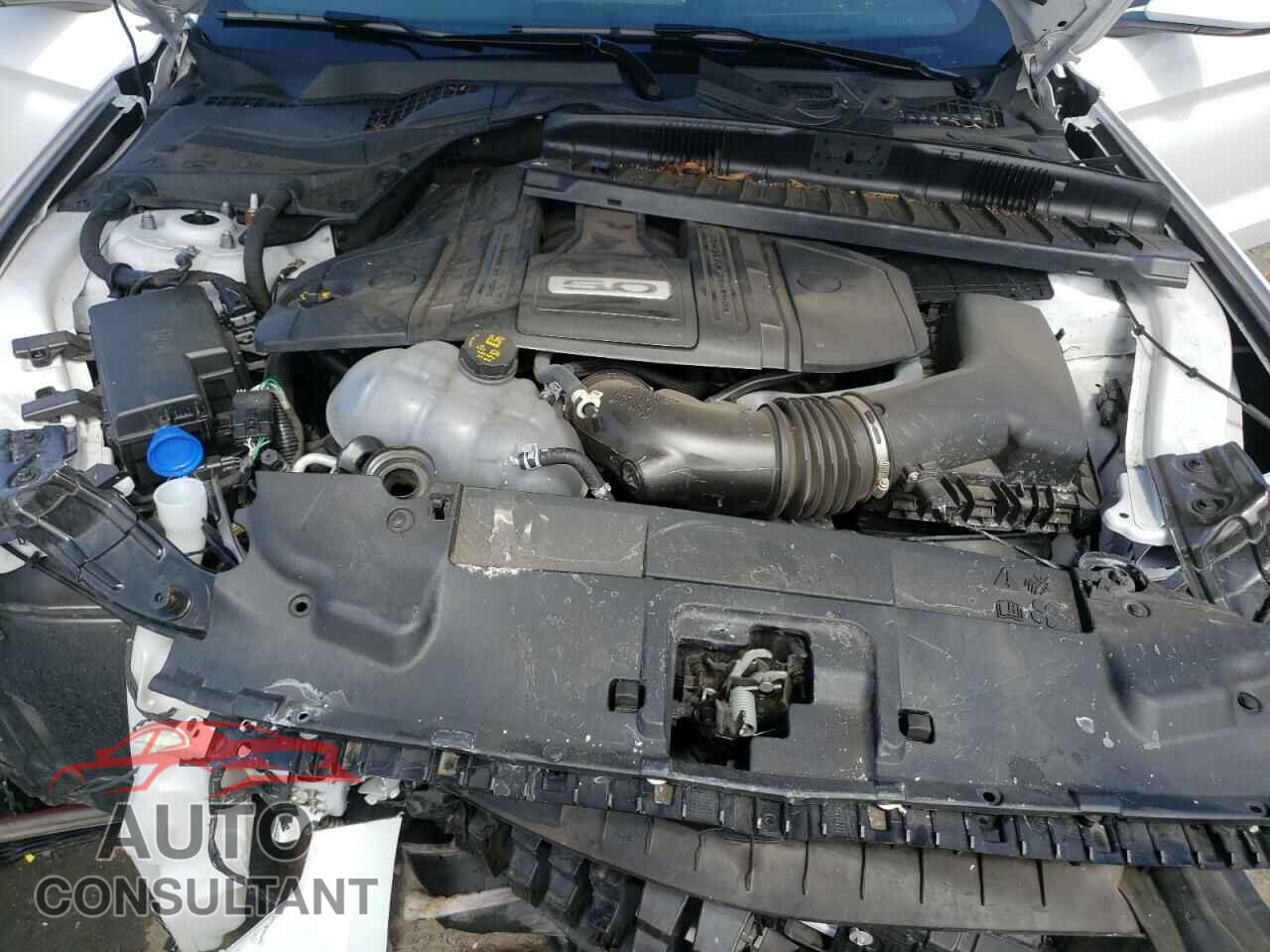 FORD MUSTANG 2021 - 1FA6P8CF1M5124748