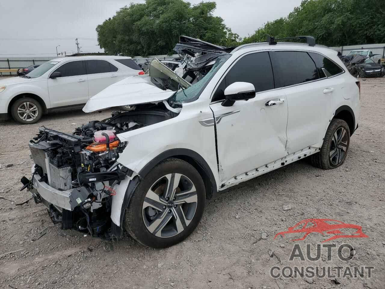 KIA SORENTO 2023 - KNDRKDLG8P5218458