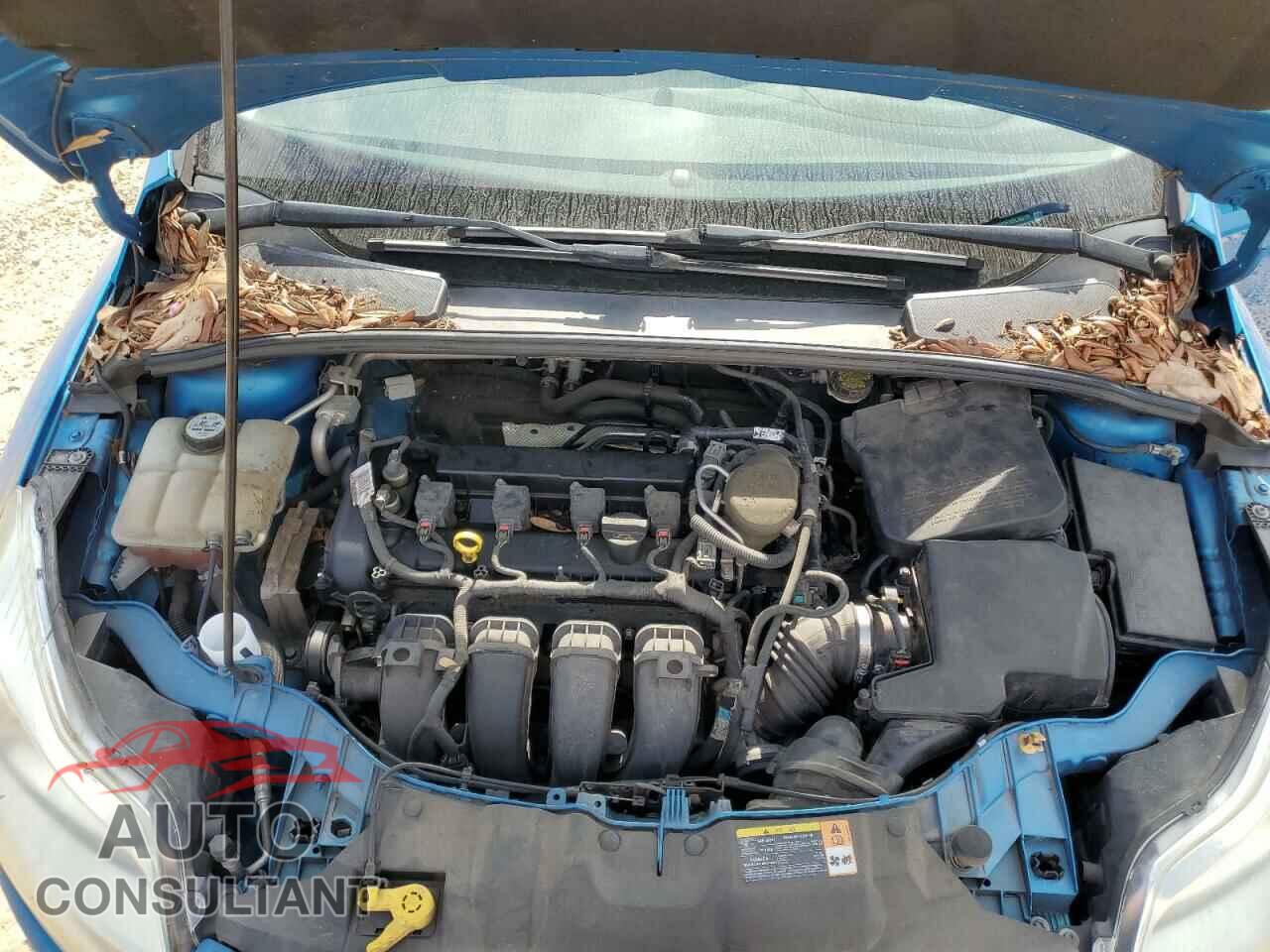 FORD FOCUS 2013 - 1FADP3F2XDL353170