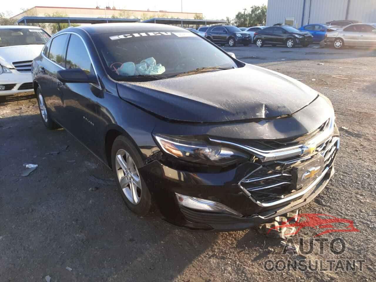CHEVROLET MALIBU 2019 - 1G1ZC5ST9KF116308