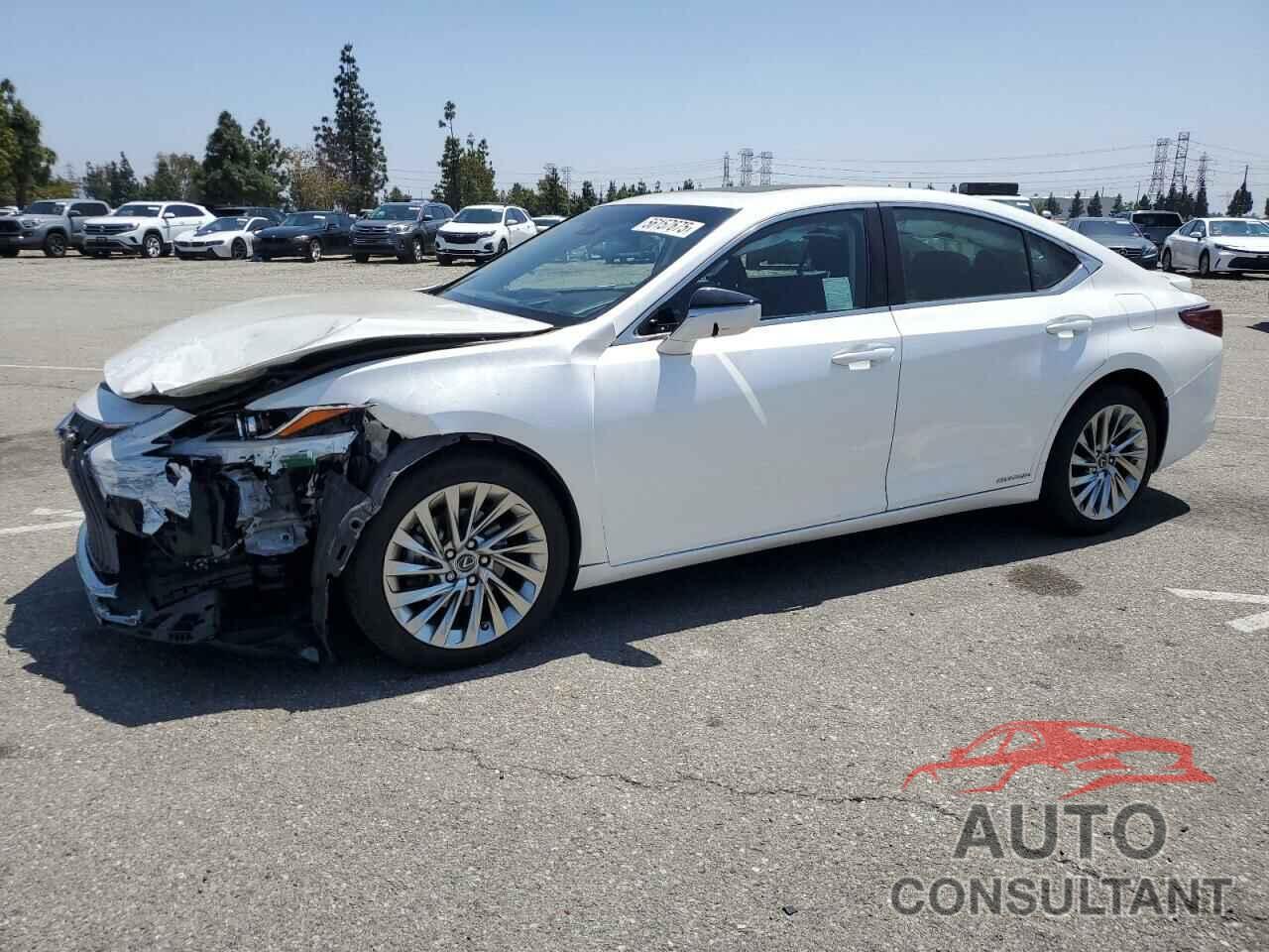 LEXUS ES300 2019 - JTHB21B12K2026118
