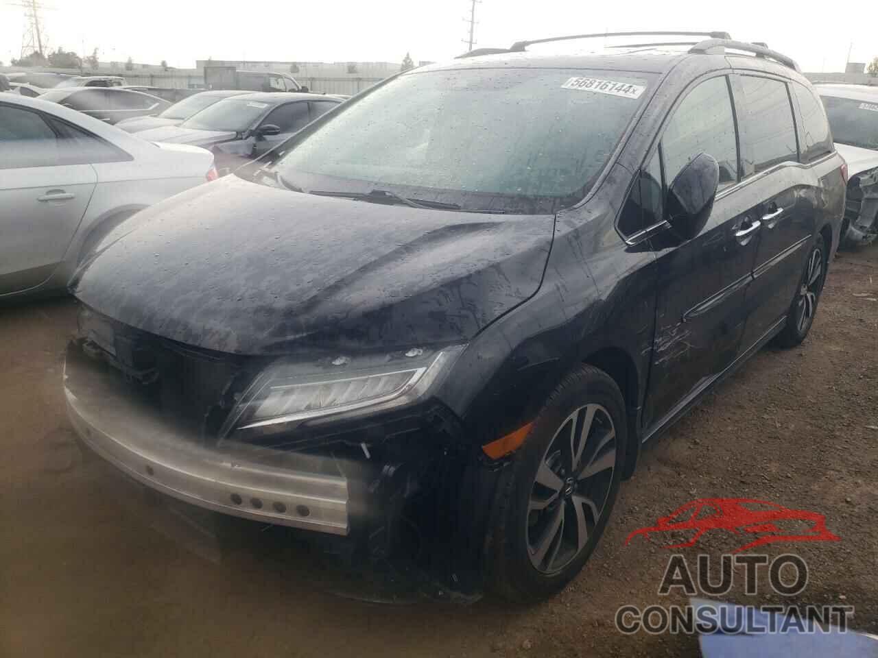 HONDA ODYSSEY 2019 - 5FNRL6H92KB048298