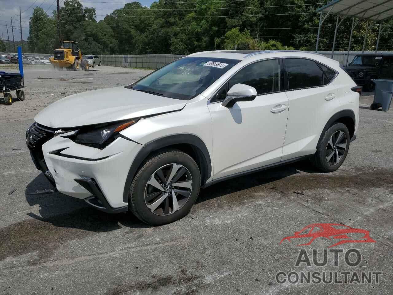 LEXUS NX 2019 - JTJYARBZ3K2116734