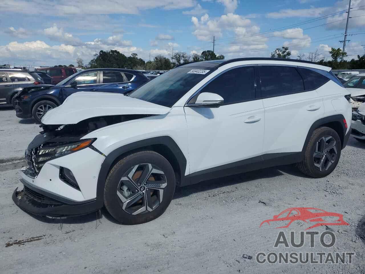 HYUNDAI TUCSON 2024 - KM8JECD16RU226877