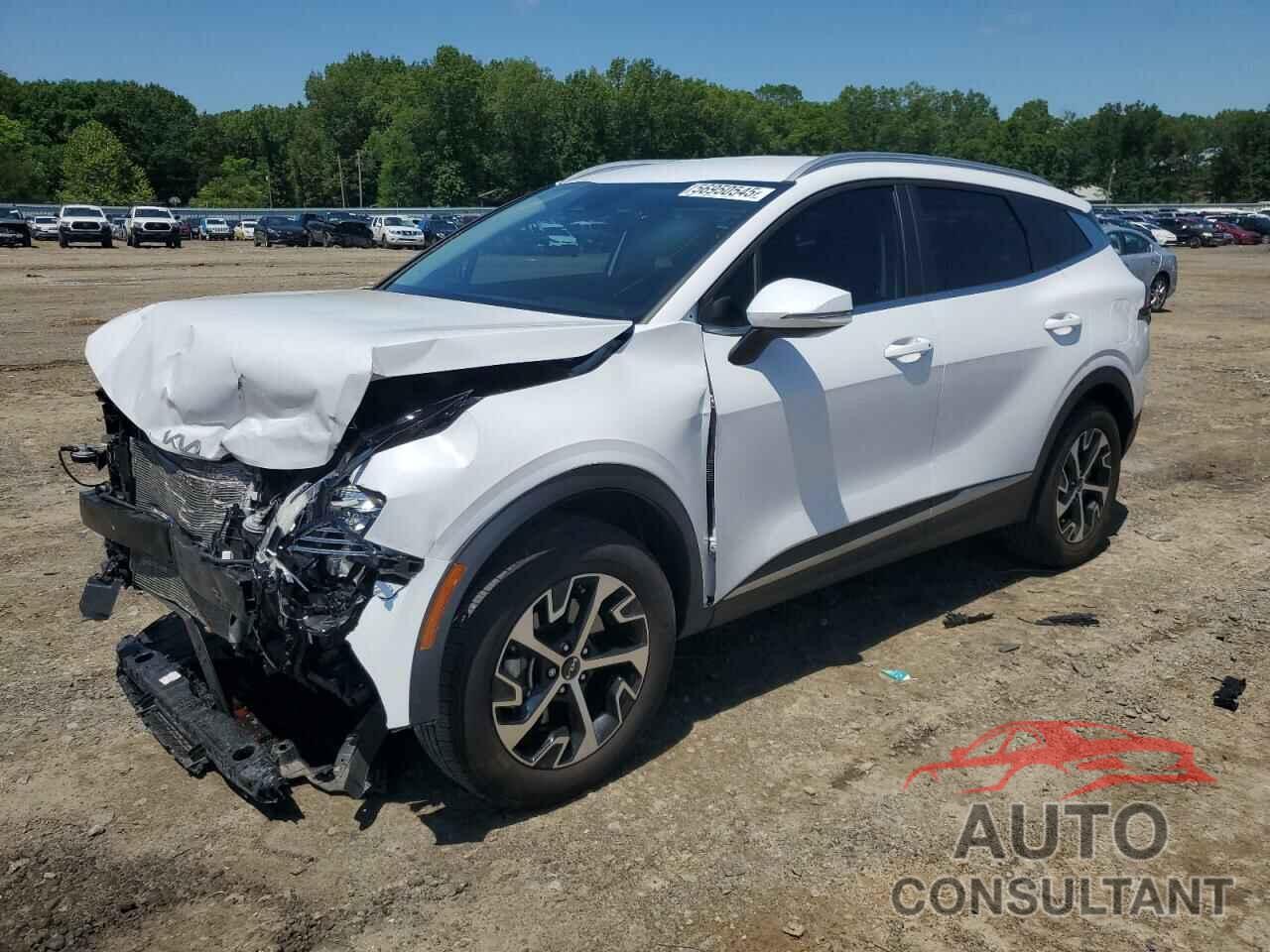 KIA SPORTAGE 2023 - 5XYK3CAF5PG023296
