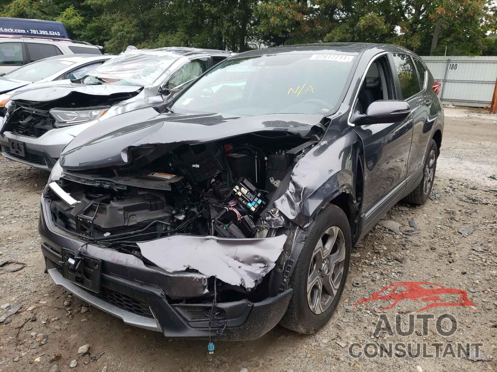 HONDA CRV 2019 - 2HKRW2H53KH660654