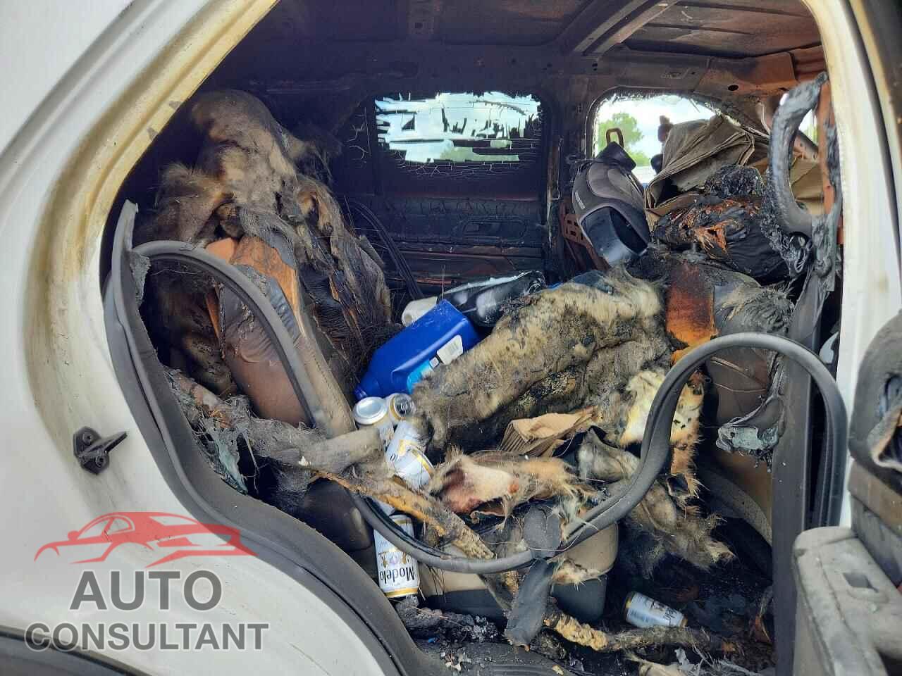 FORD EXPLORER 2019 - 1FM5K7DH7KGA03377