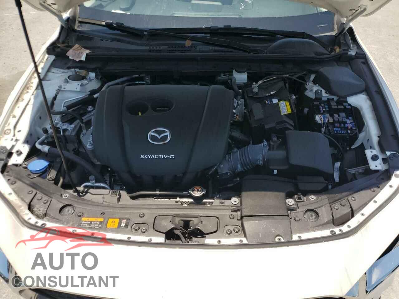 MAZDA 3 2019 - JM1BPBDM3K1131210