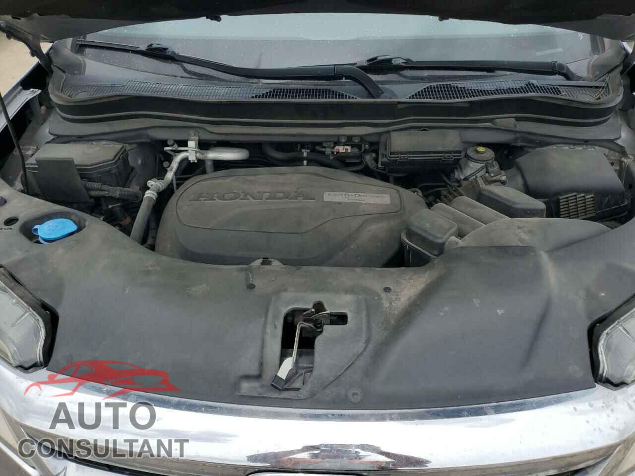 HONDA PILOT 2019 - 5FNYF5H96KB028956