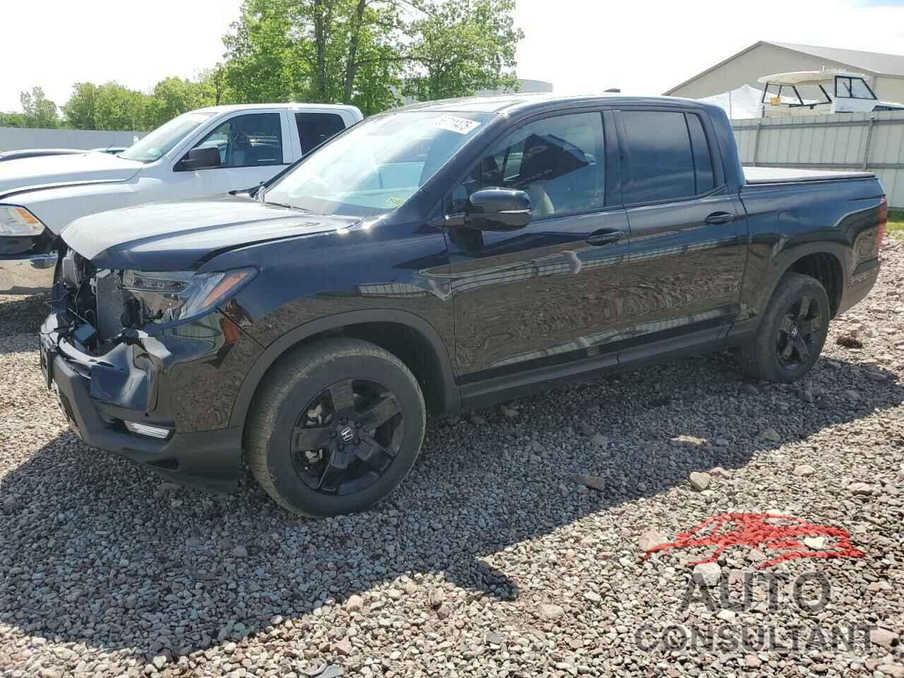 HONDA RIDGELINE 2024 - 5FPYK3F8XRB028731