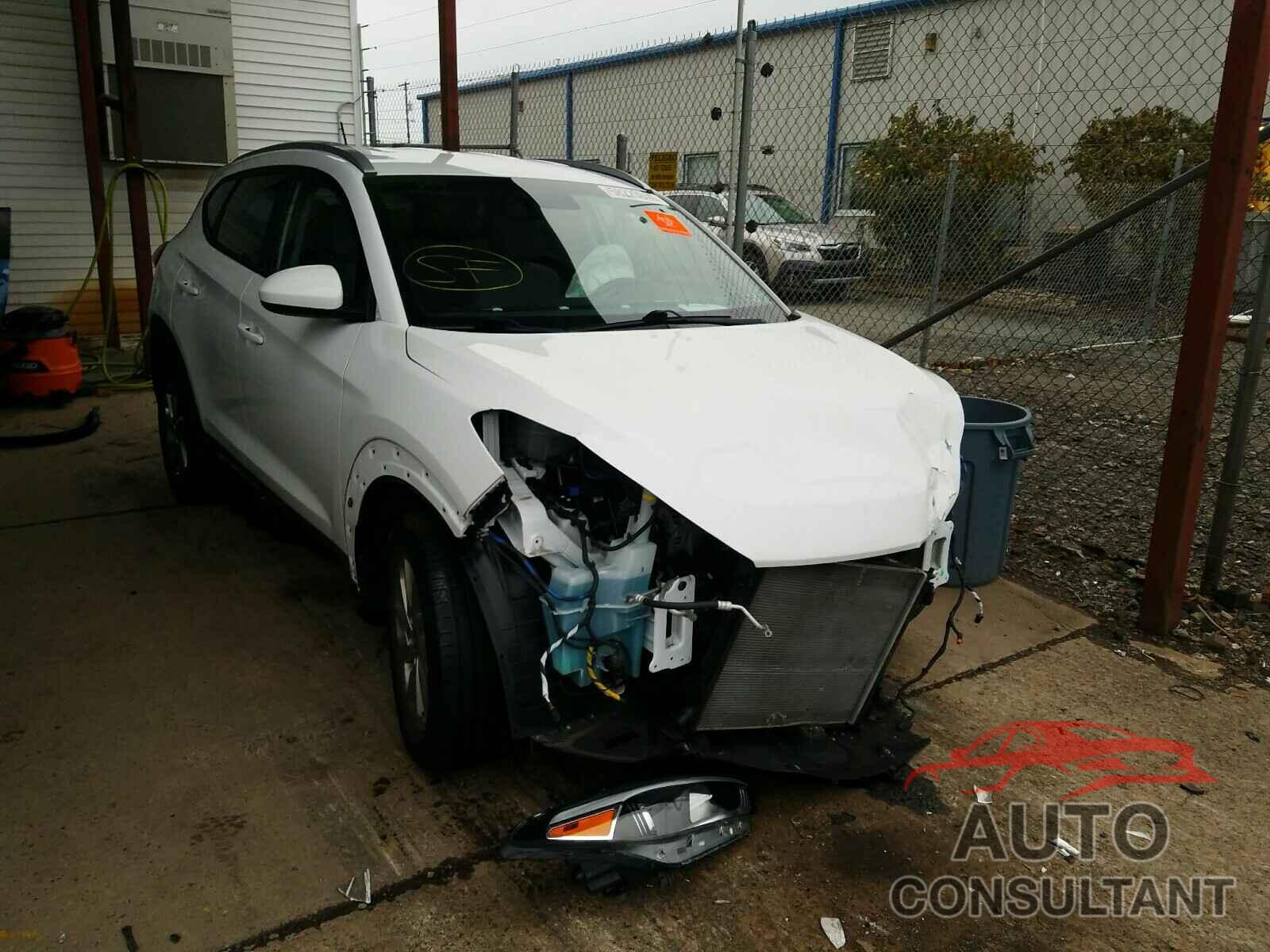HYUNDAI TUCSON 2017 - KM8J3CA45HU553872