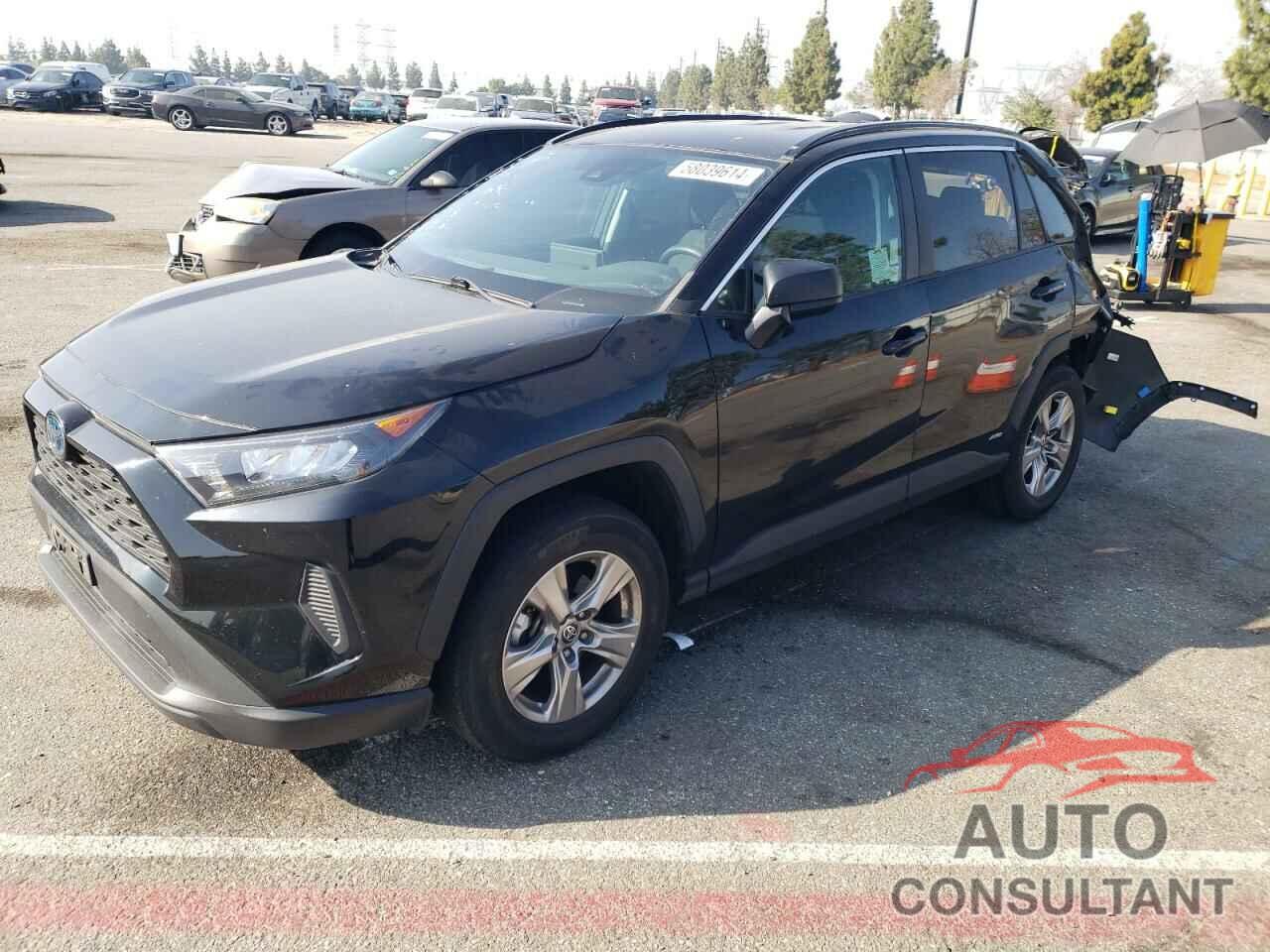 TOYOTA RAV4 2022 - 2T3LWRFV1NW137325