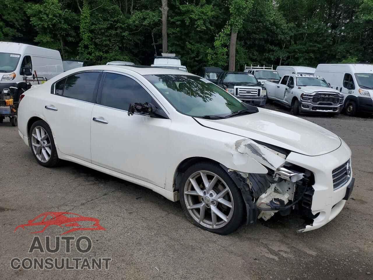 NISSAN MAXIMA 2009 - 1N4AA51E49C829549
