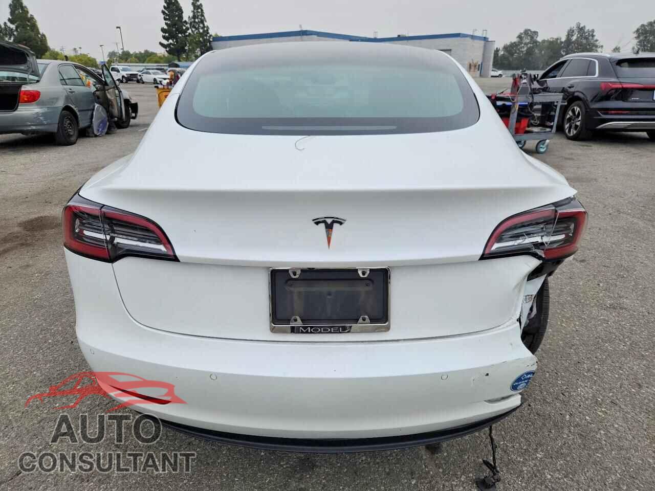 TESLA MODEL 3 2021 - 5YJ3E1EA1MF977855