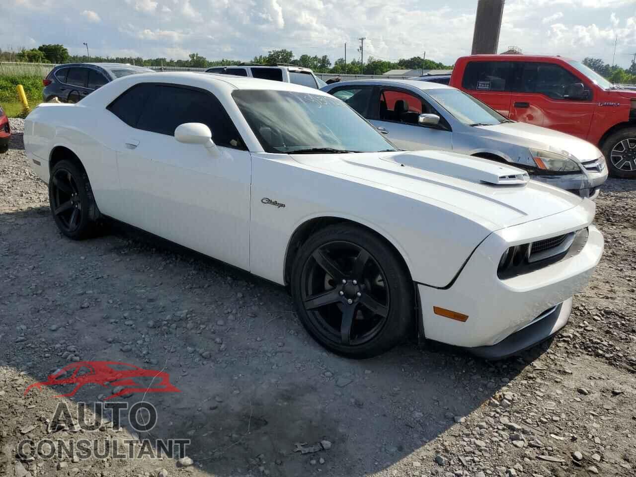 DODGE CHALLENGER 2013 - 2C3CDYBT3DH619169