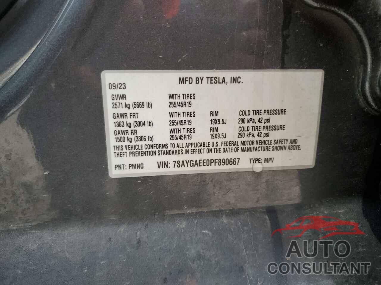 TESLA MODEL Y 2023 - 7SAYGAEE0PF890667
