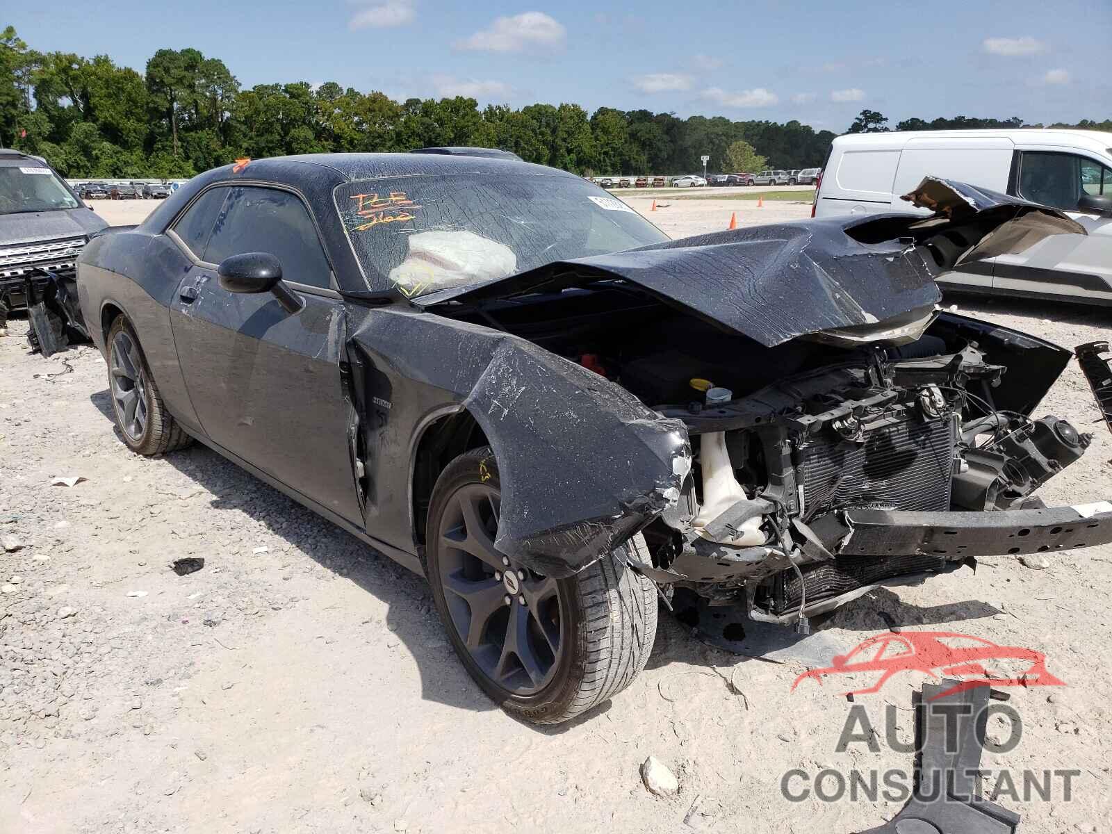 DODGE CHALLENGER 2019 - 2C3CDZBT9KH531360