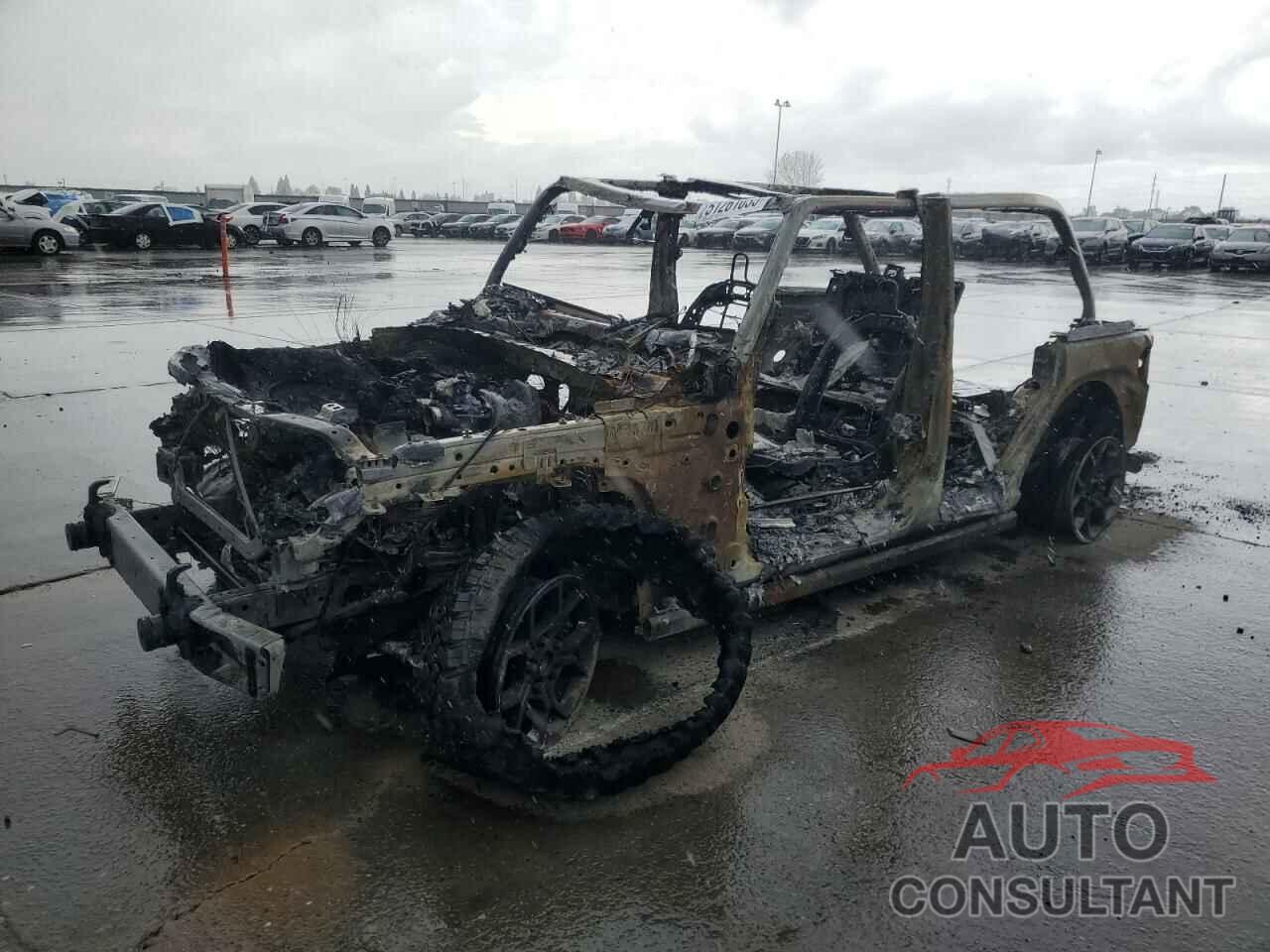 JEEP WRANGLER 2024 - 1C4RJXN6XRW310449