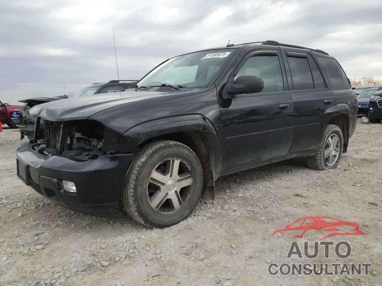 CHEVROLET TRAILBLZR 2009 - 1GNDT33S492131979