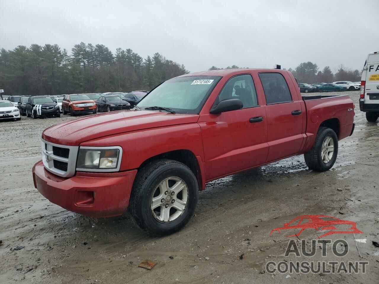 DODGE DAKOTA 2010 - 1D7CW3GK9AS188579