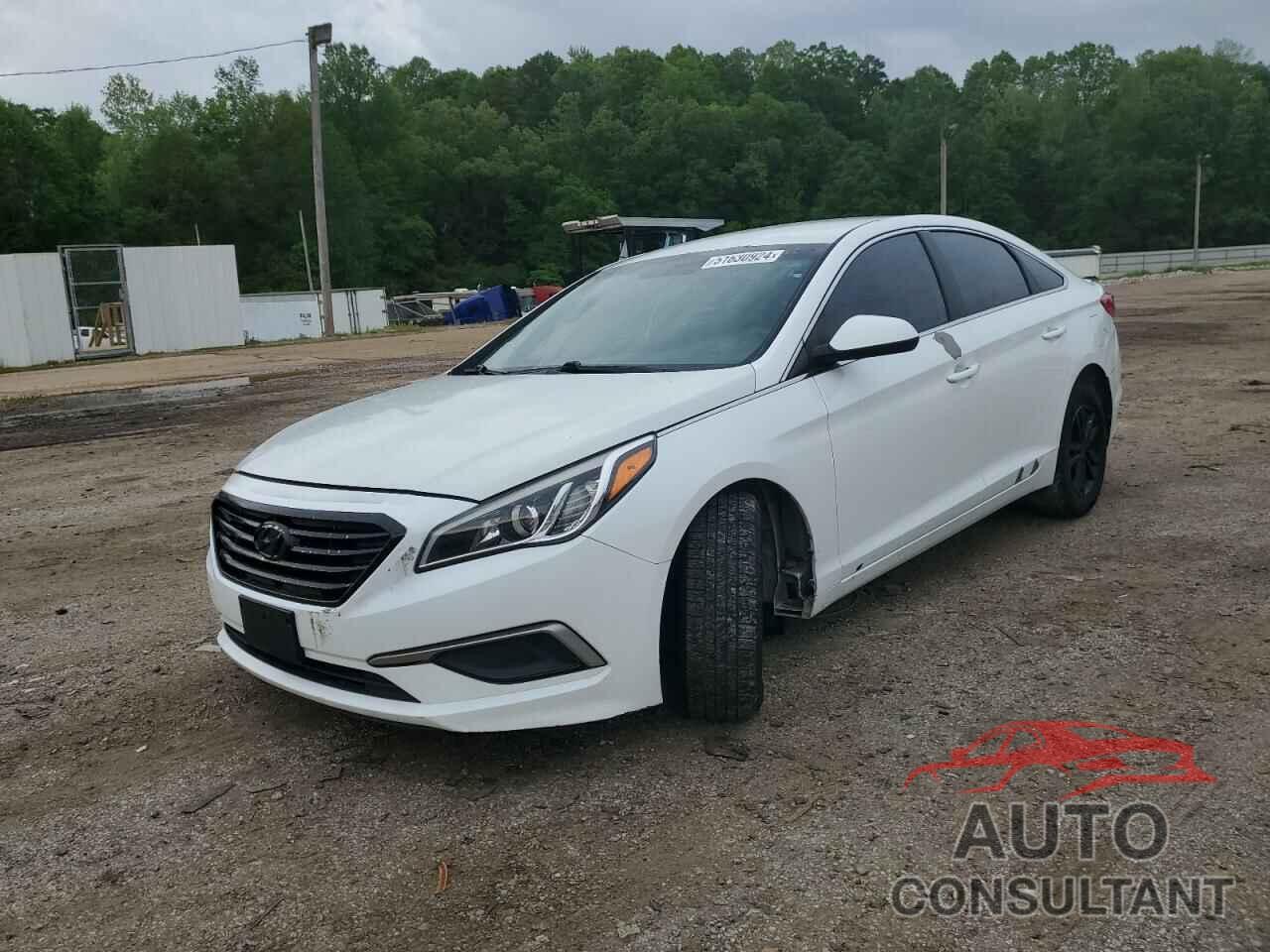 HYUNDAI SONATA 2017 - 5NPE24AF4HH529105