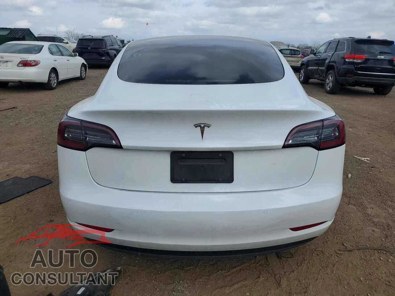 TESLA MODEL 3 2021 - 5YJ3E1EA1MF921804
