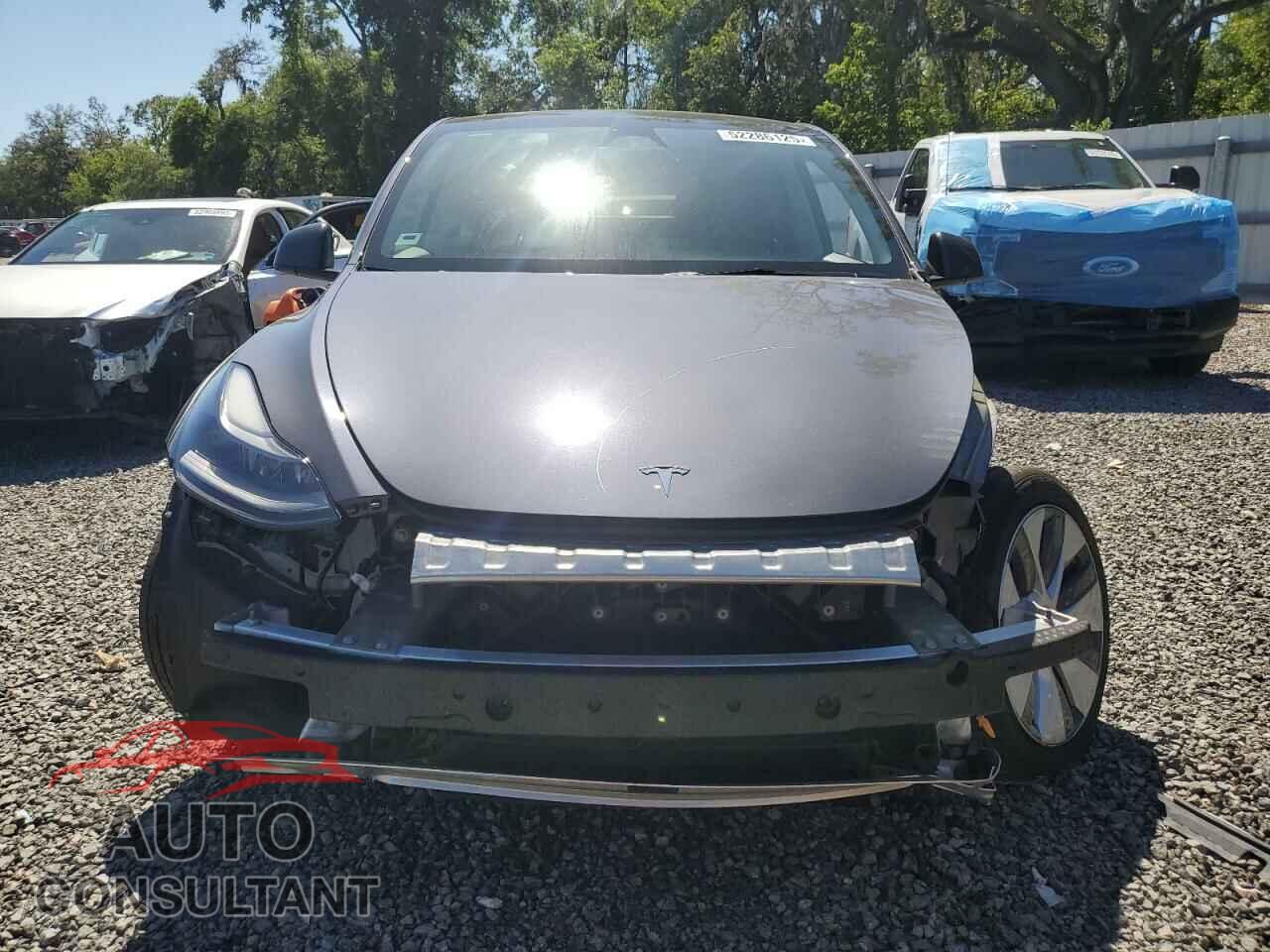 TESLA MODEL Y 2023 - 7SAYGAEE3PF917604