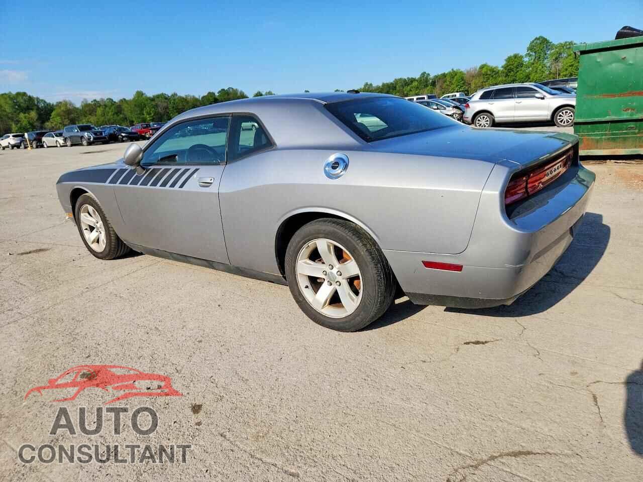 DODGE CHALLENGER 2013 - 2C3CDYAG3DH674774