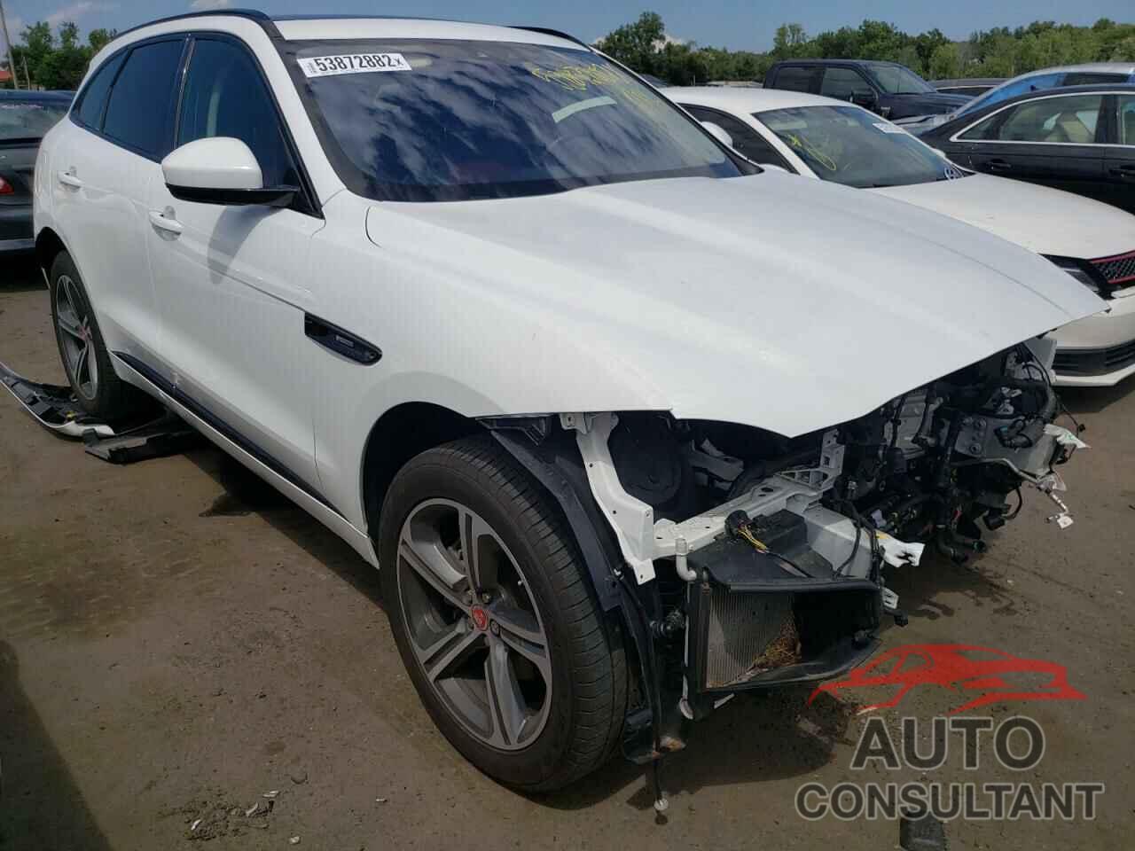 JAGUAR F-PACE 2019 - SADCL2FX8KA359487