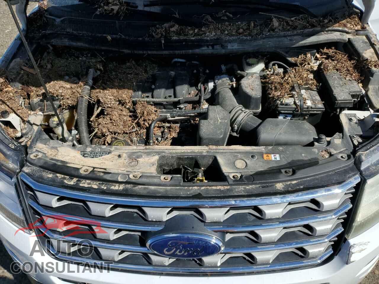 FORD EXPLORER 2016 - 1FM5K8D82GGA23114