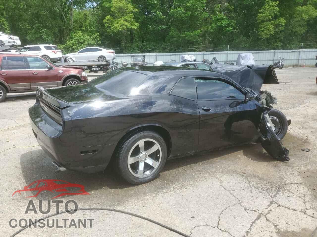 DODGE CHALLENGER 2013 - 2C3CDYAG2DH554254