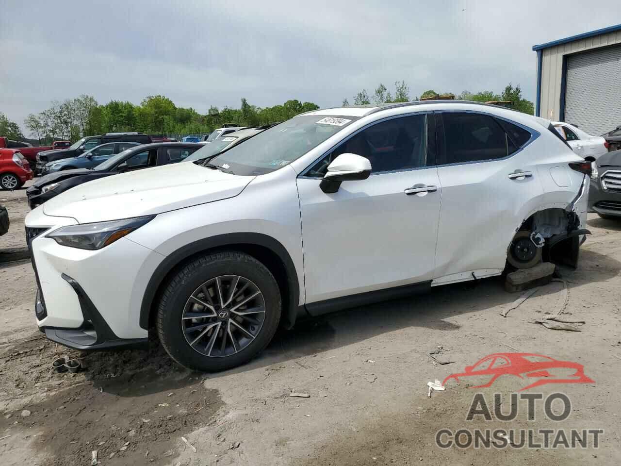 LEXUS NX 350 PRE 2024 - 2T2GGCEZ6RC059510