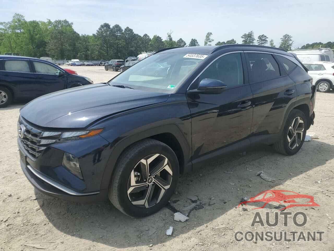HYUNDAI TUCSON 2023 - KM8JFCA16PU092449