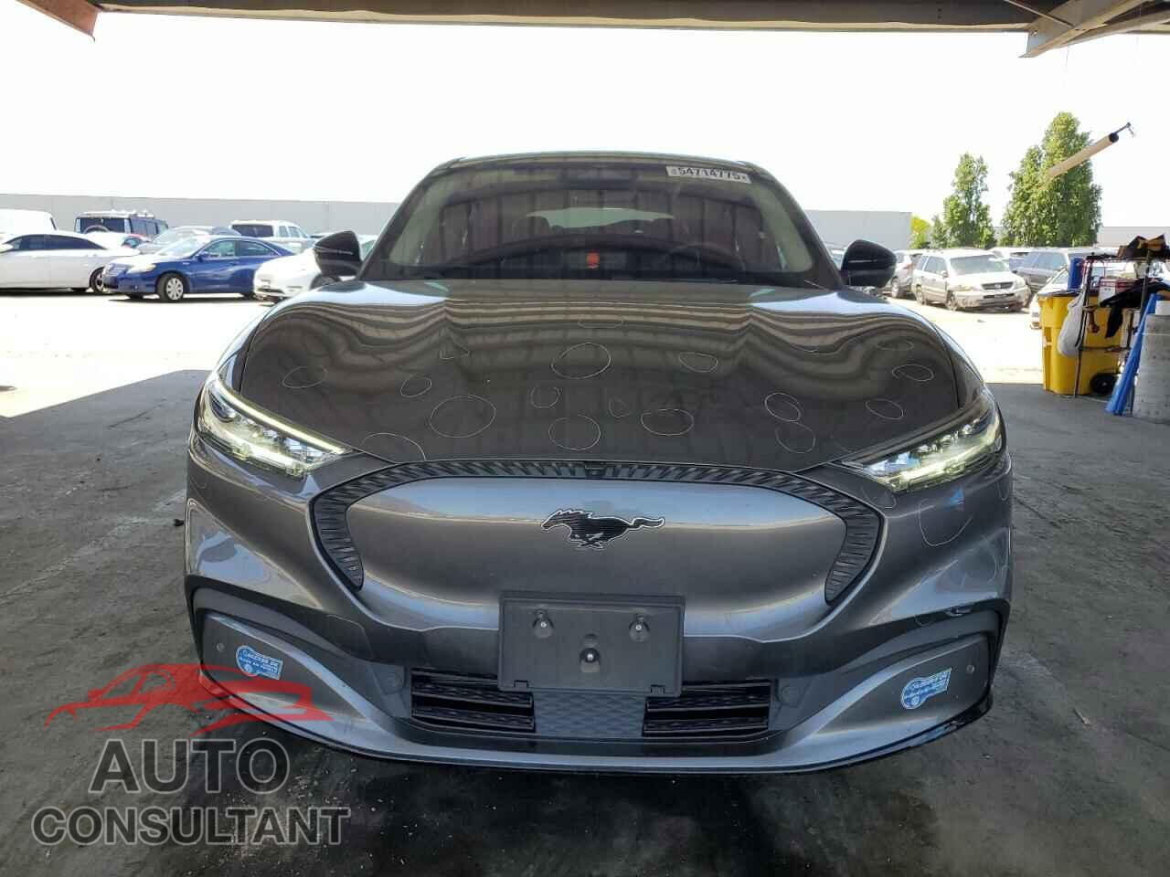 FORD MUSTANG 2021 - 3FMTK2R7XMMA36084