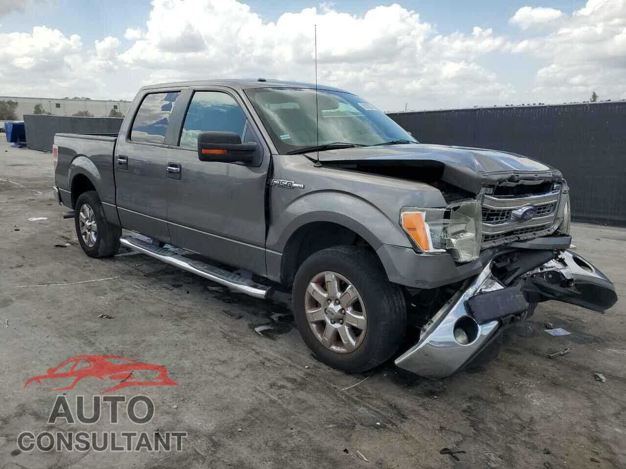 FORD F-150 2013 - 1FTEW1CM4DFD30171