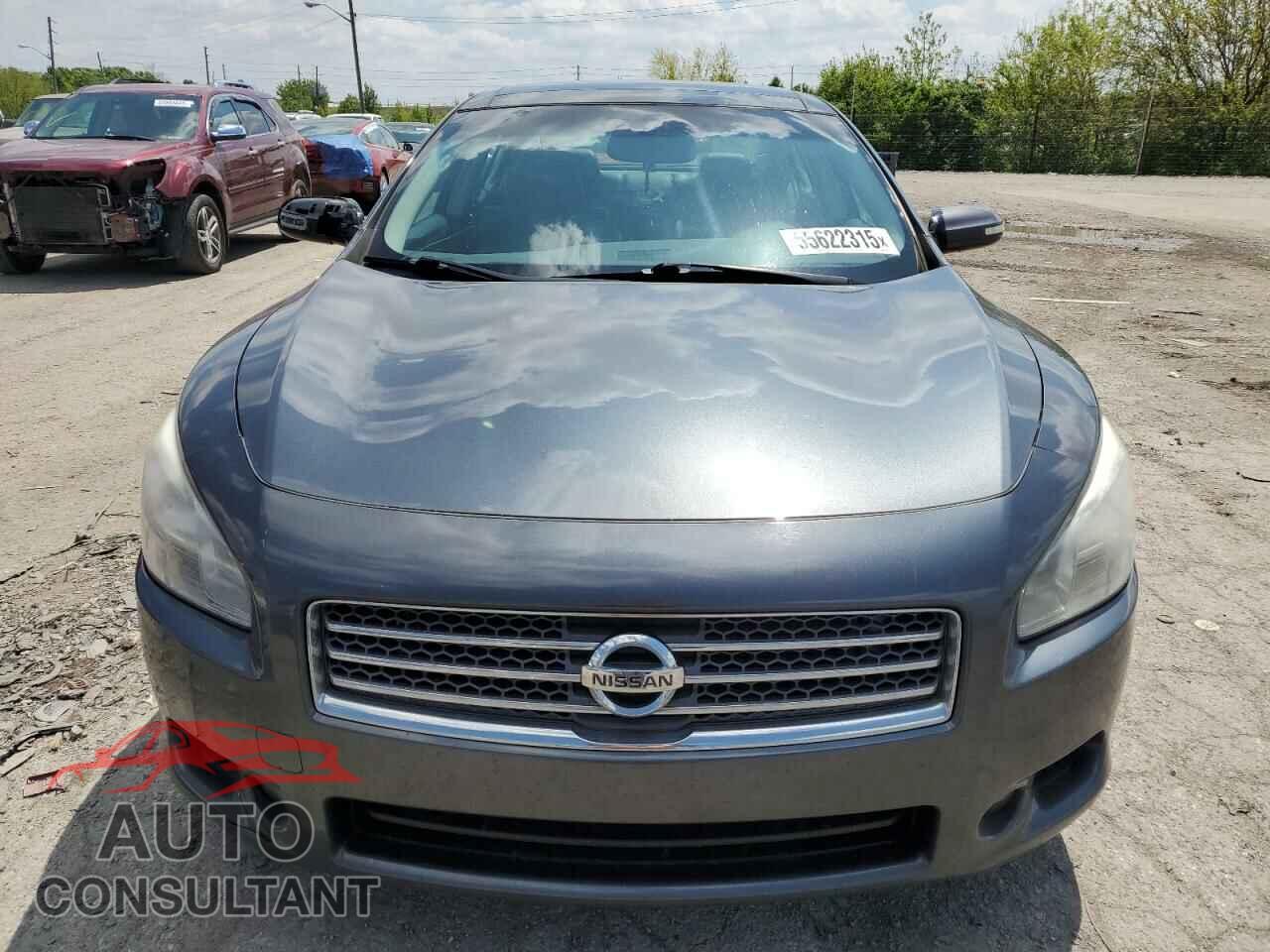 NISSAN MAXIMA 2011 - 1N4AA5AP1BC816829
