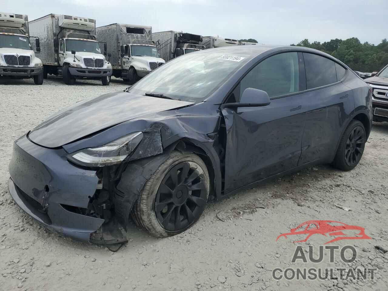 TESLA MODEL Y 2022 - 7SAYGDEE0NF481616