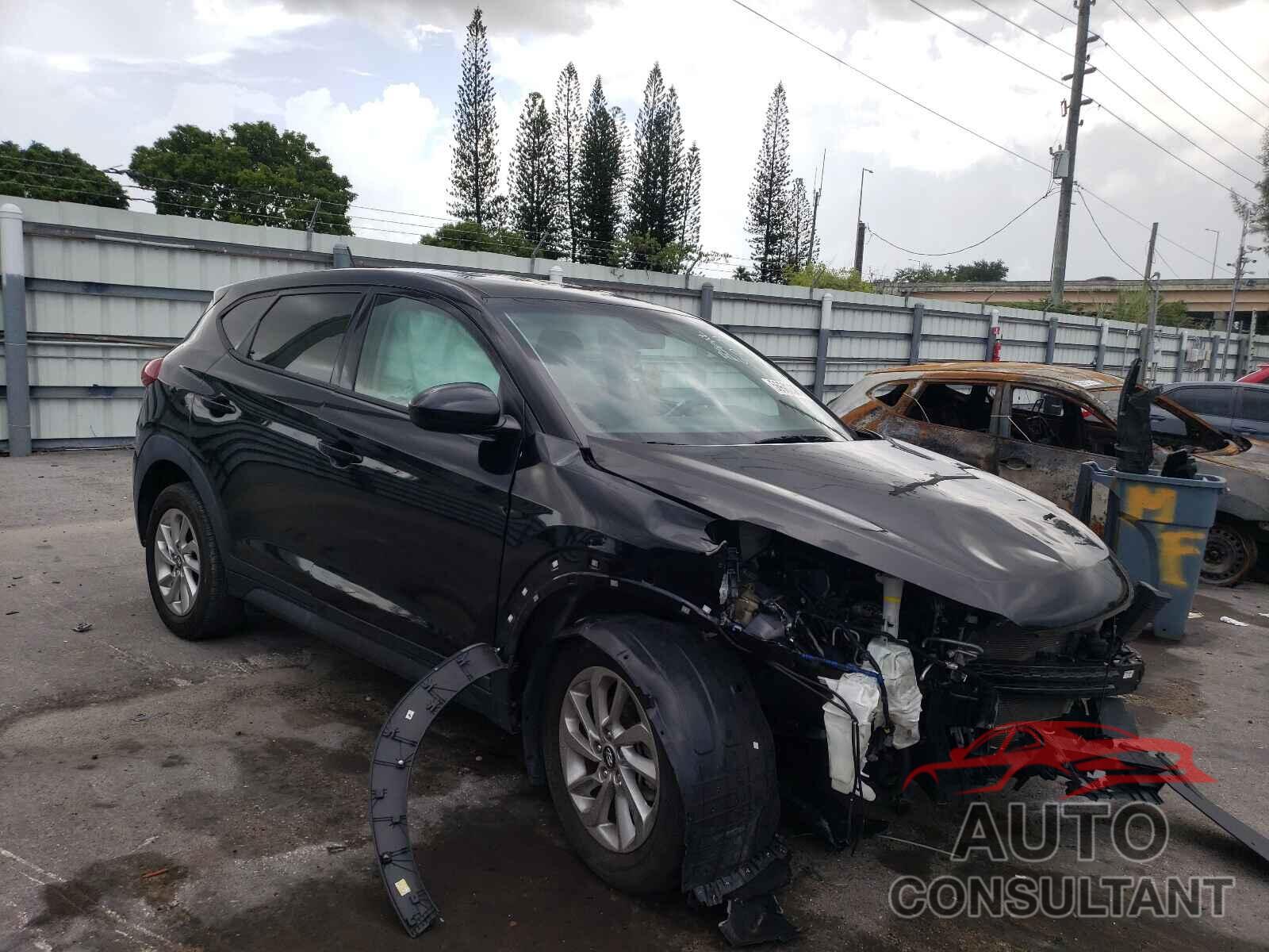 HYUNDAI TUCSON 2017 - KM8J23A45HU285957